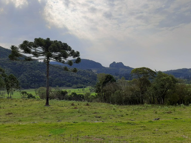 Sítio com Linda Vista em Rio Rufino - Foto 2