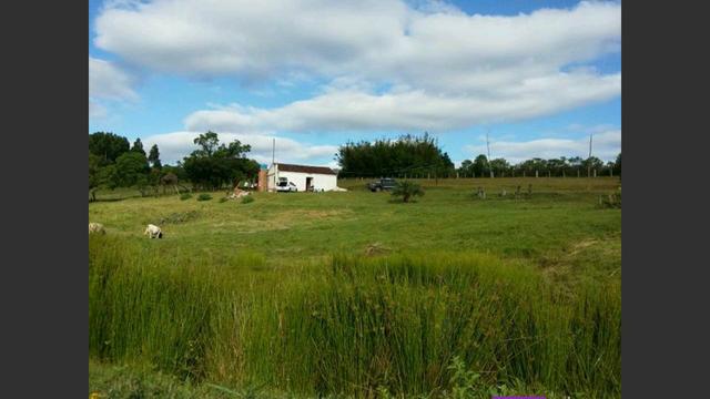 Propriedade rural - Foto 7