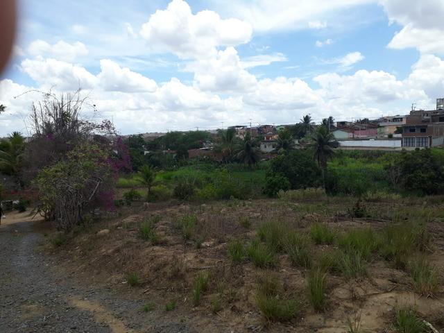 Vende-se um sítio em bom jardim - Foto 5