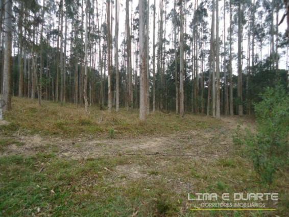 Chácara à venda em Bituvinha, Mafra cod:216CH - Foto 10