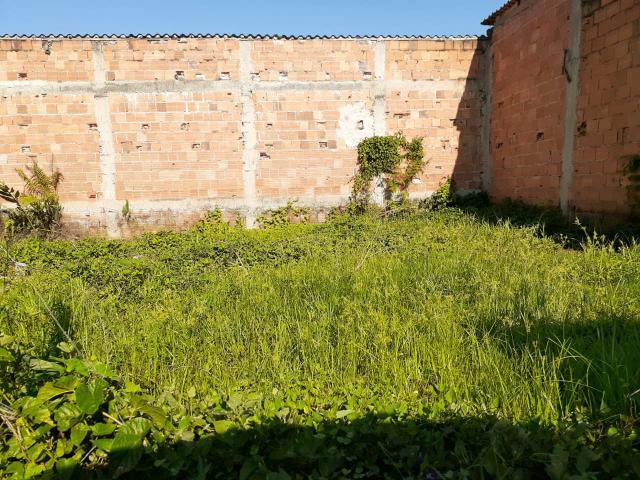 Lote 10 x 12 no Brachuy ( Angra ) - Foto 2