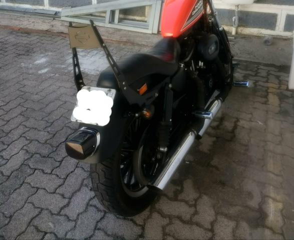 Sissy Bar Harley 883R, iron, sportster - Foto 5