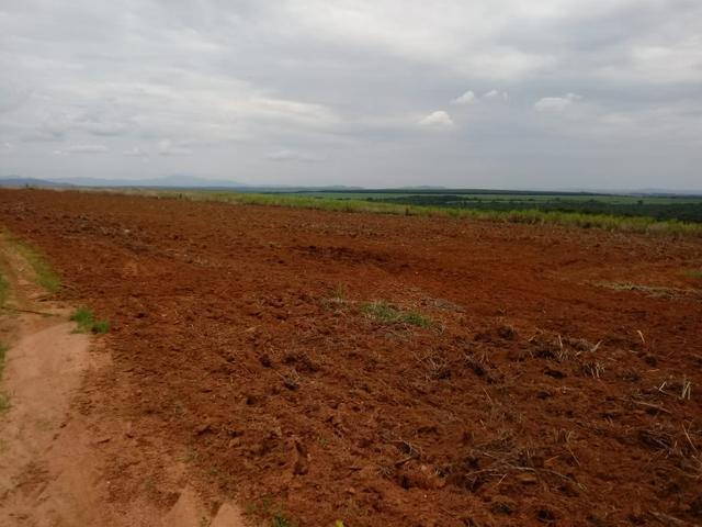 Excelente fazenda cultura pura
