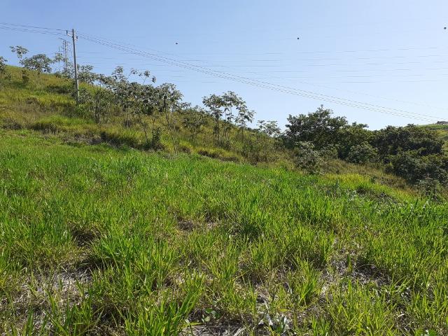 Lote/terreno no Vivendas do Lago pronto para construir - Foto 2