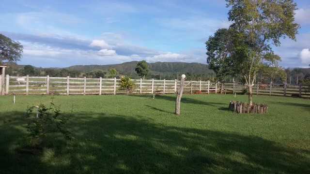 Fazenda 520 hectares em Taguatinga DF - Foto 3