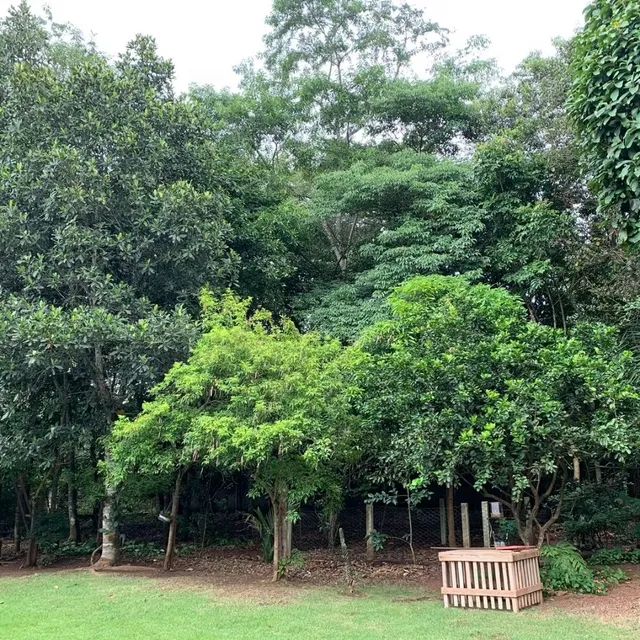 Vende-se linda casa na Chapada dos Guimarães MT  - Foto 6