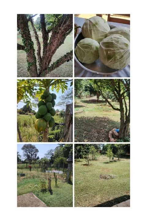 foto - Araçoiaba da Serra - 