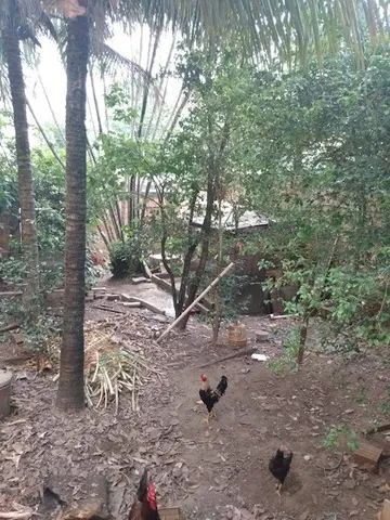 Rio da Prata, 85.000,00 - Foto 3