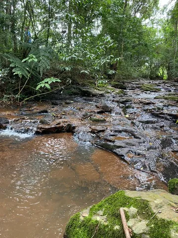 Chácara em Cascavel
