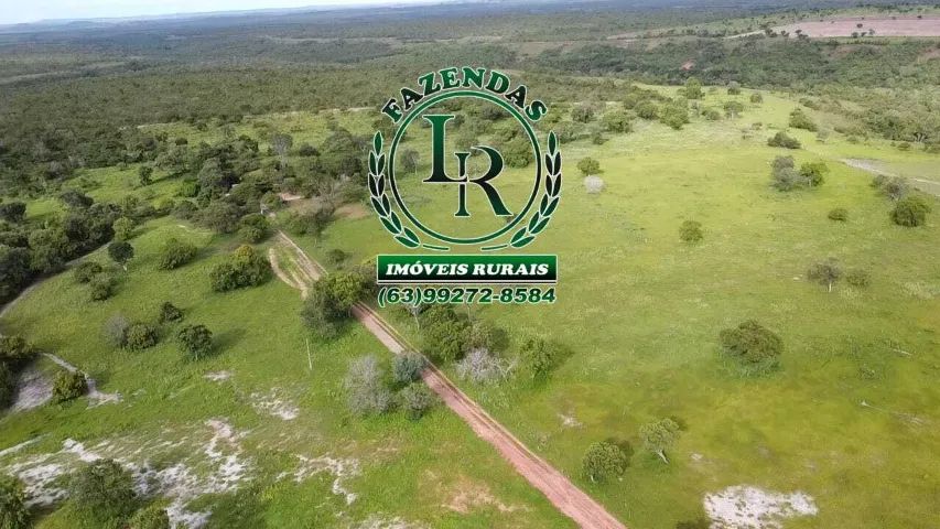 Fazenda Plana100 Alqueires Beira do Asfalto Tocantins - Foto 5