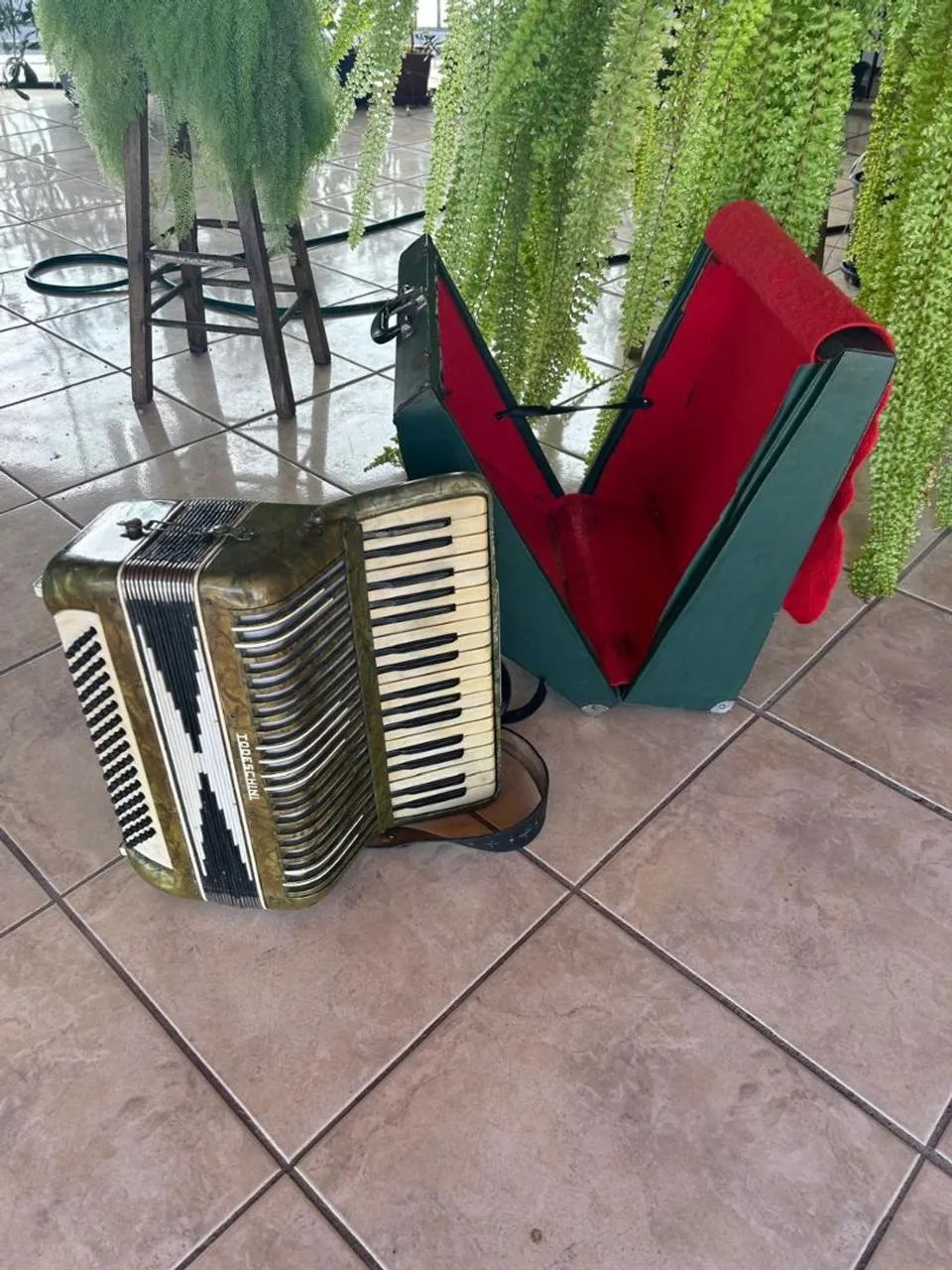 Gaita Todeschini - Foto 2