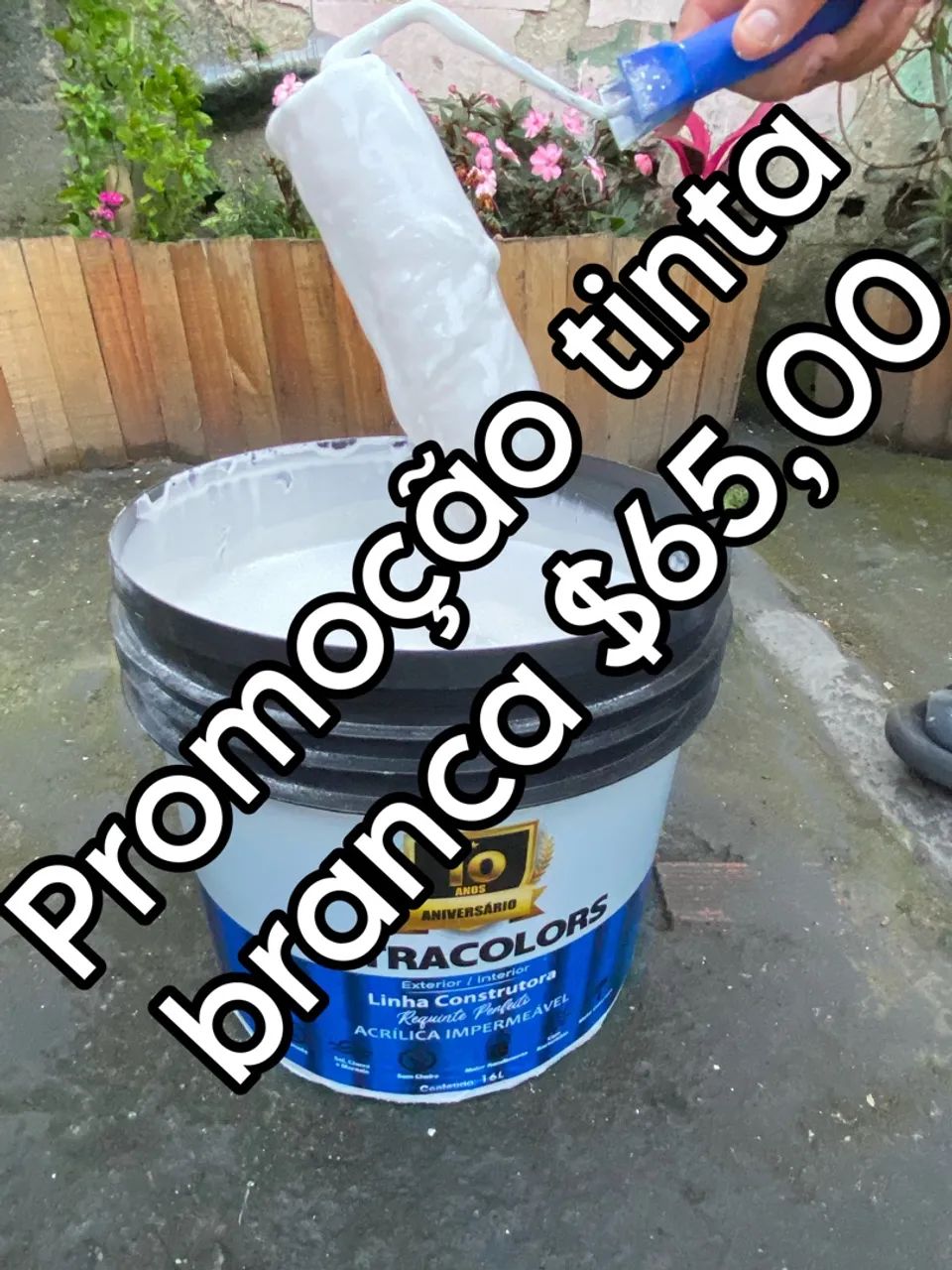 Promoção Tinta Branca 16L - R$65,00