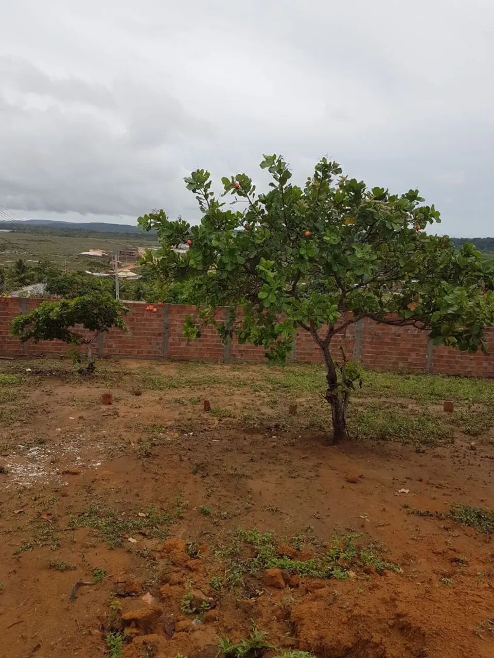 Terreno em barra de jacuipe  - Foto 4