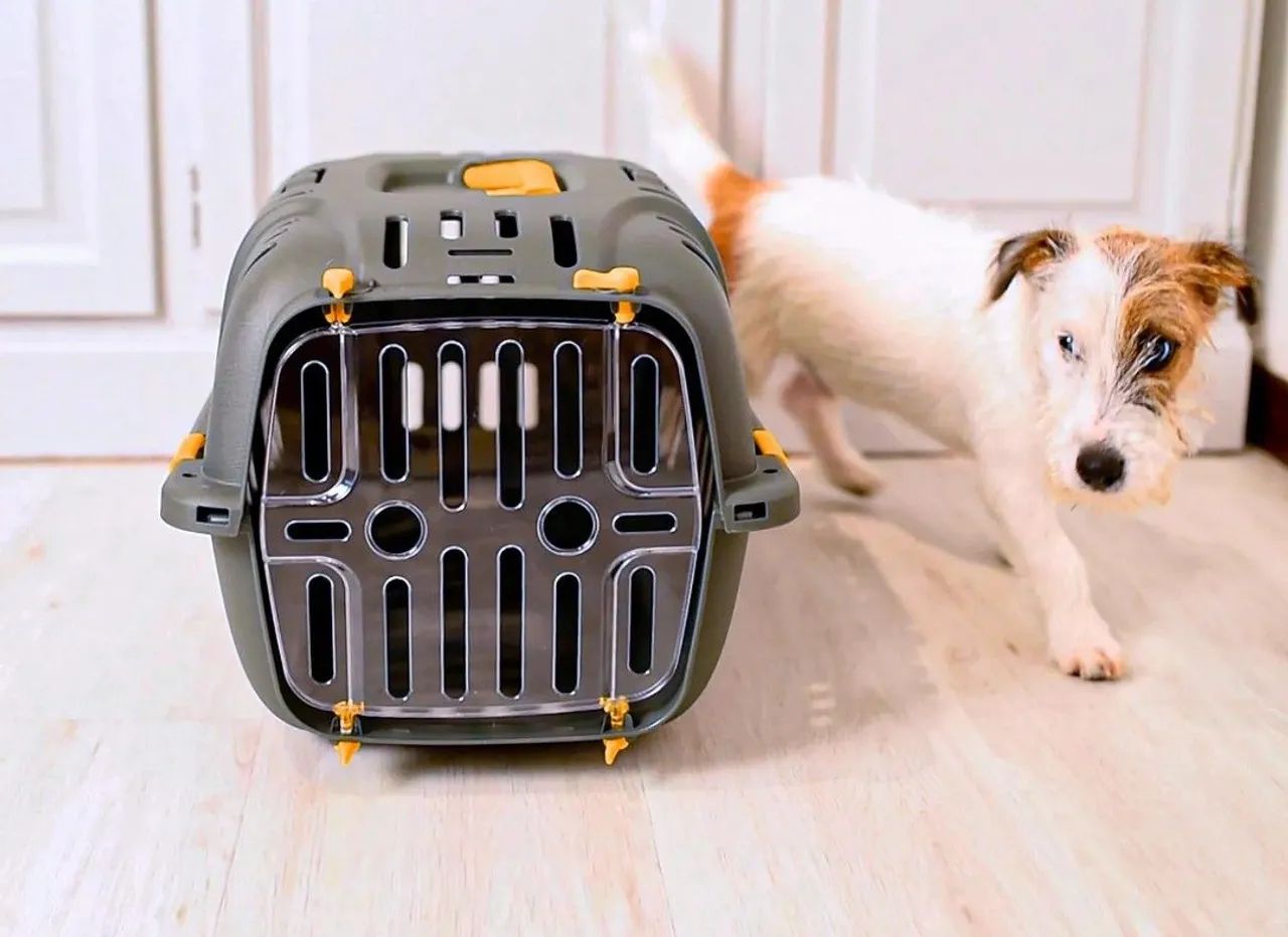 Caixa para transporte de cães e gatos Jet 10 - Foto 6