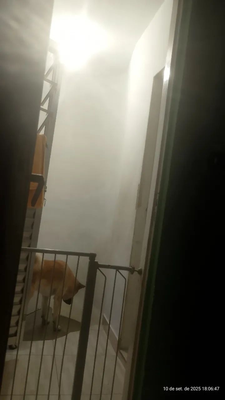 Foto - São Paulo - Vila Joaniza