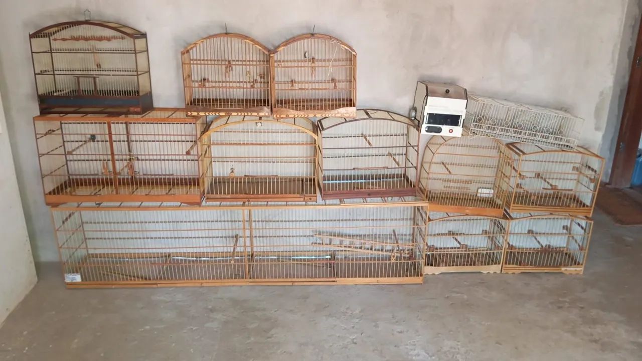 Vendo gaiolas chocadeira voadeira semi novas 