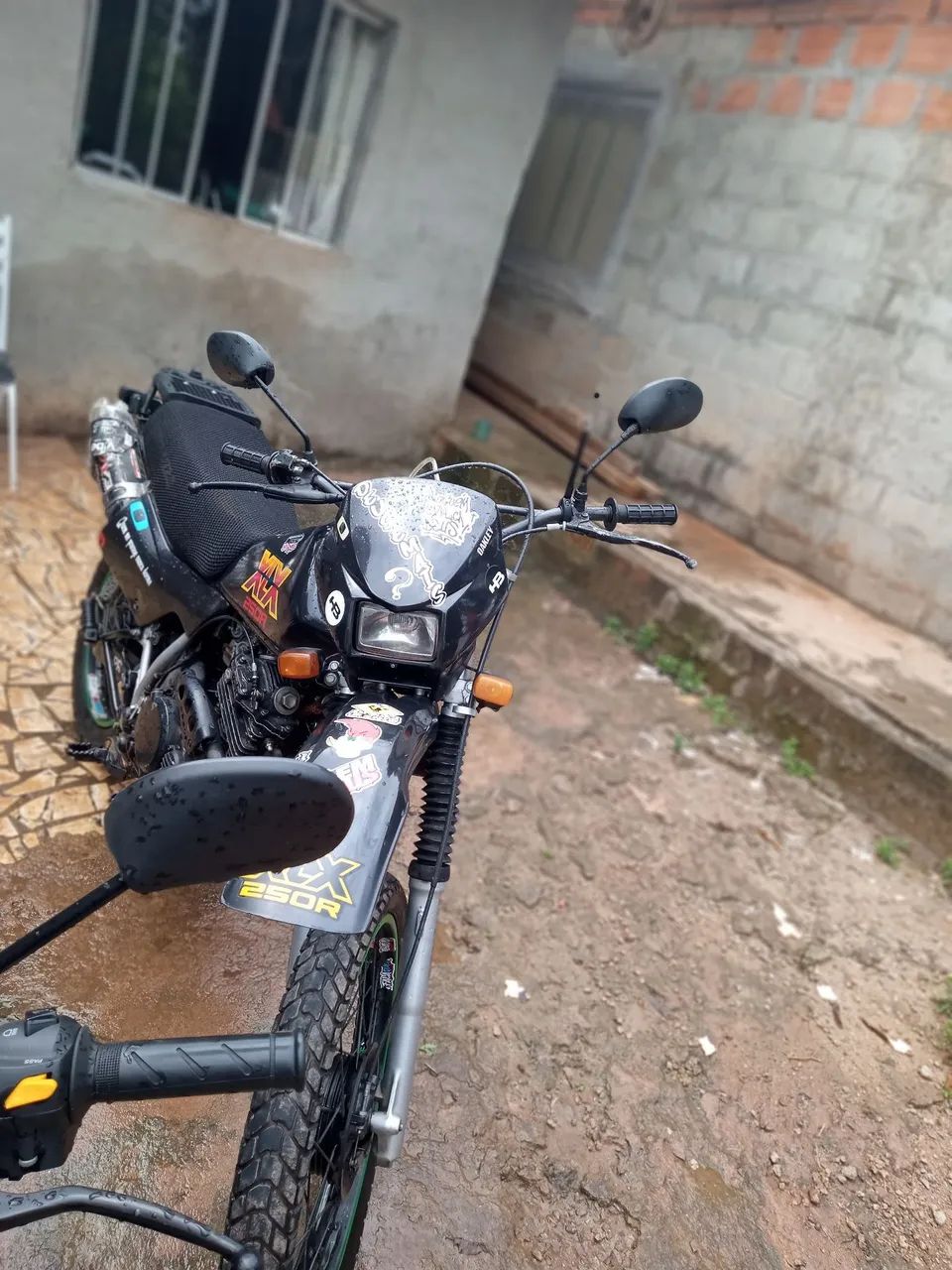 XLX 250 - Foto 2