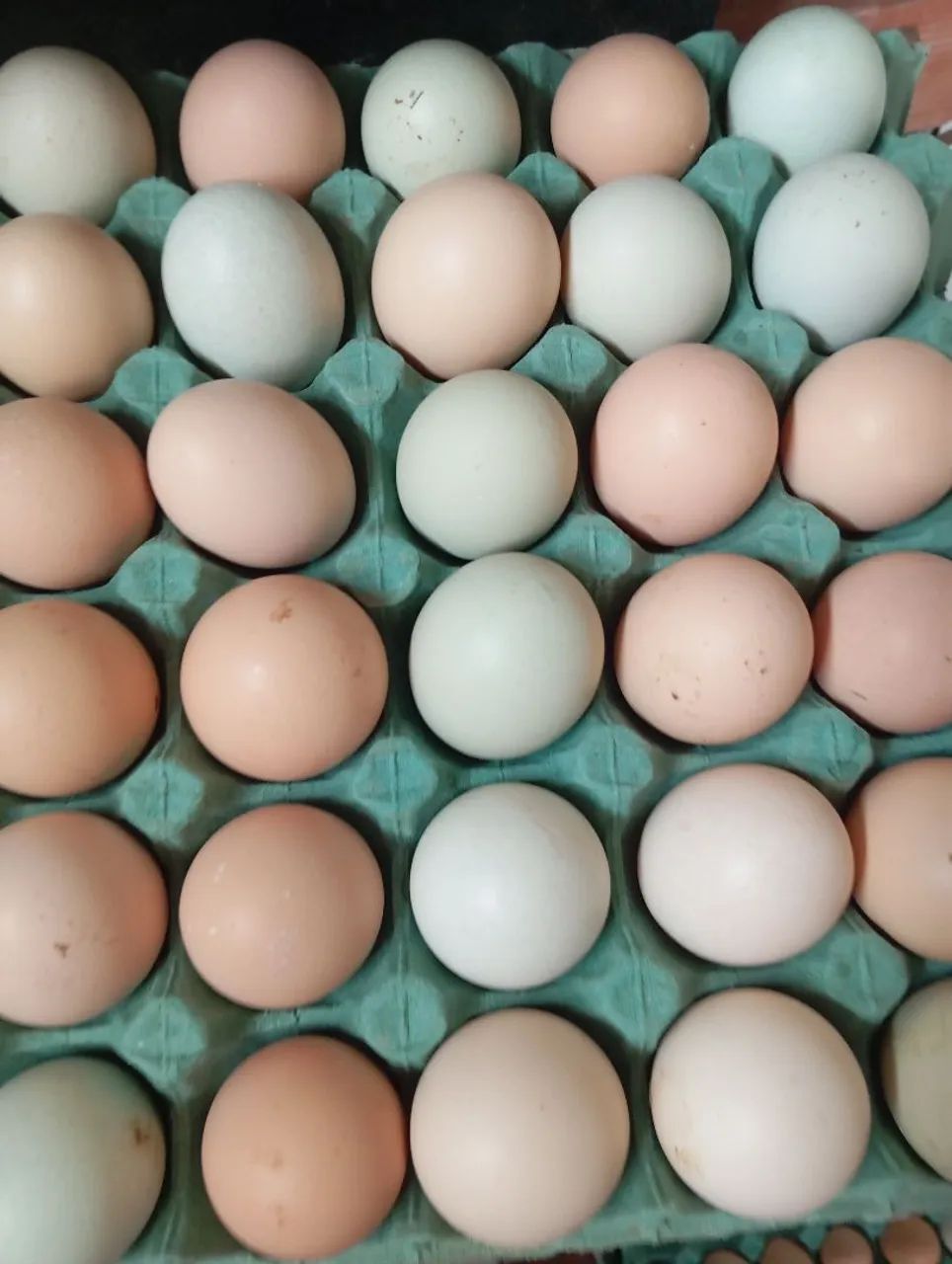 Vendo ovos atacado - Foto 2