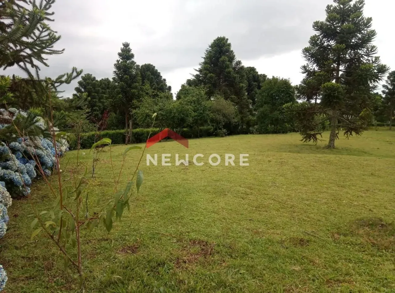 Lote em Remanso Indianopólis - Remanso Indianópolis - São Francisco de Paula/RS