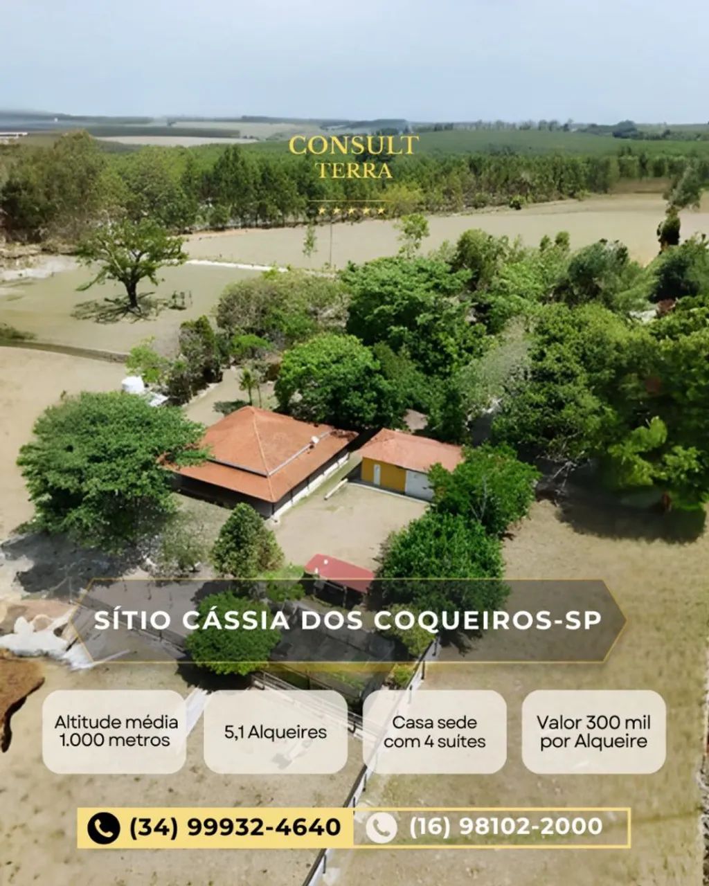 Foto - Cássia Dos Coqueiros - 