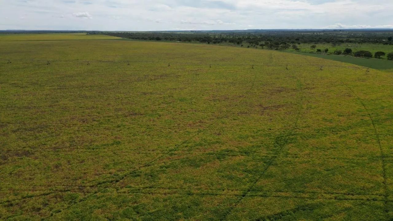 Fazenda com área verde e irrigação - Foto 4