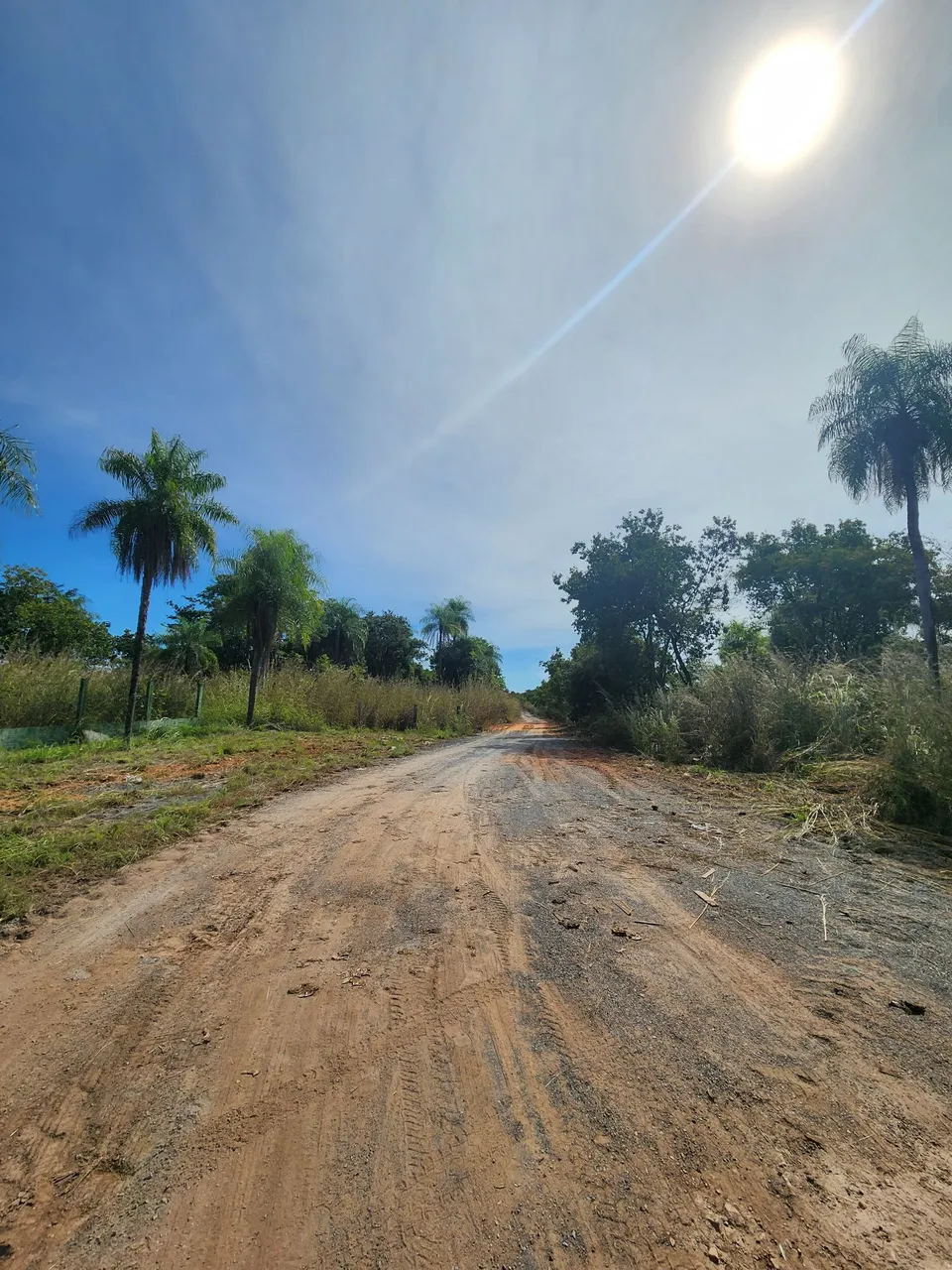 Vende-se chácara com 13 hectares na Estrada da Guia em Cuiabá MT 
