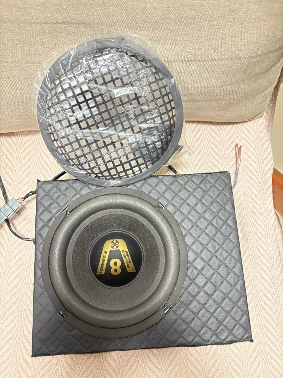 Subwoofer 8 polegadas Recordista Mundial