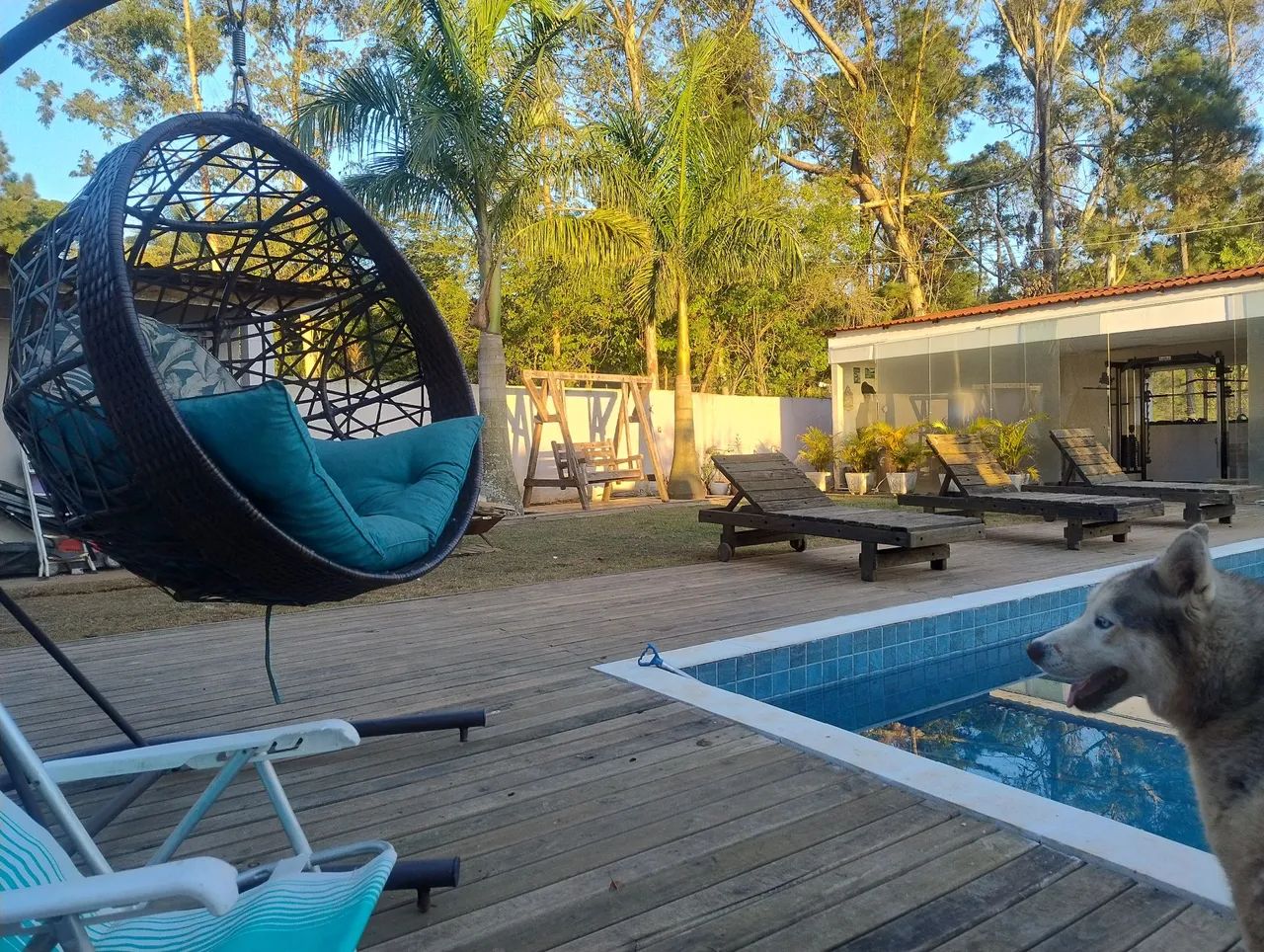 Foto - Cotia - Jardim Colibri