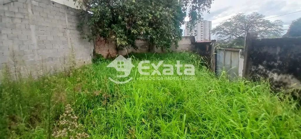 Terreno para venda na Zona Leste - Foto 3