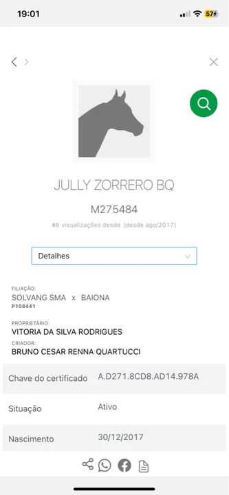 Égua Quarto de Milha  - Foto 4