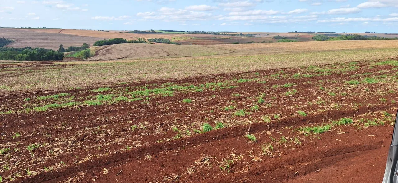 Fazenda a venda Ortigueira