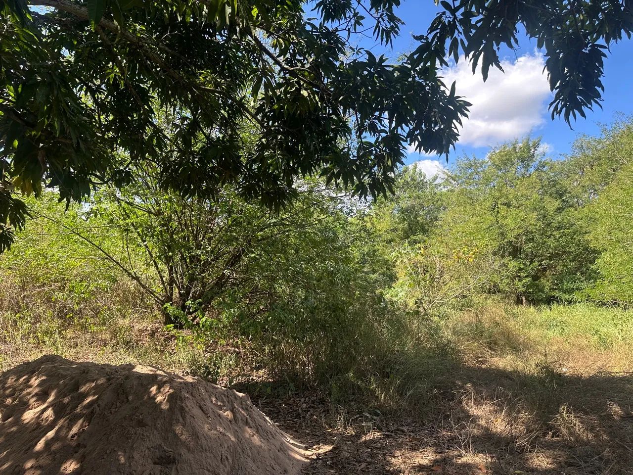 area de 1577 metros , solar das candeias ap de Goiânia - Foto 5