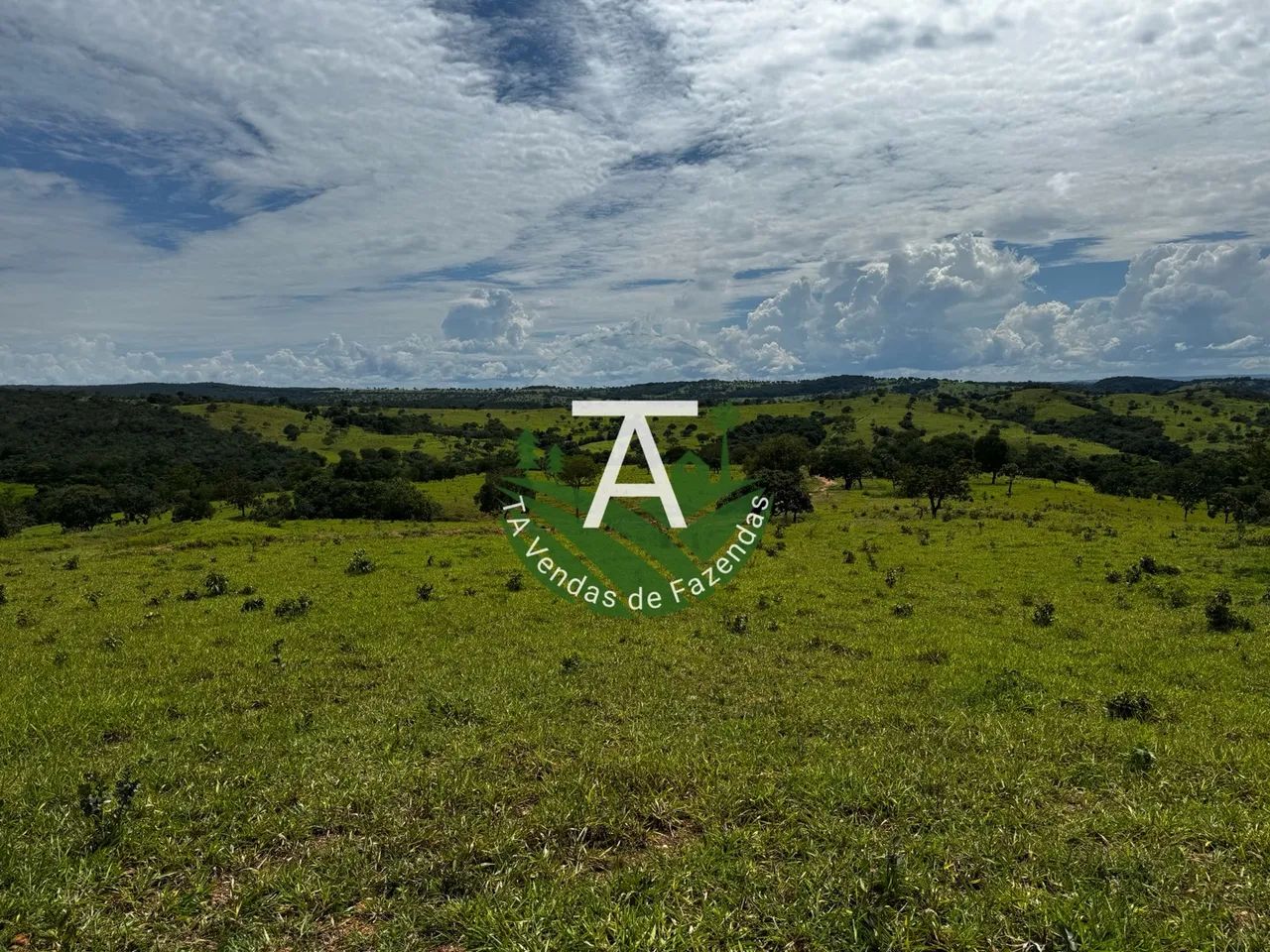 Fazenda de 64 alq em Ipameri-GO - Foto 3