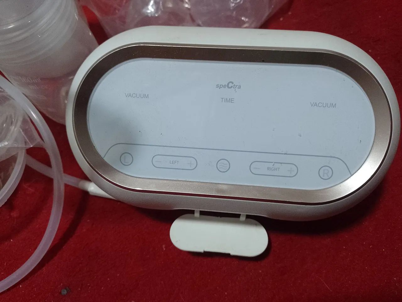 Ordenia umana  - Foto 2