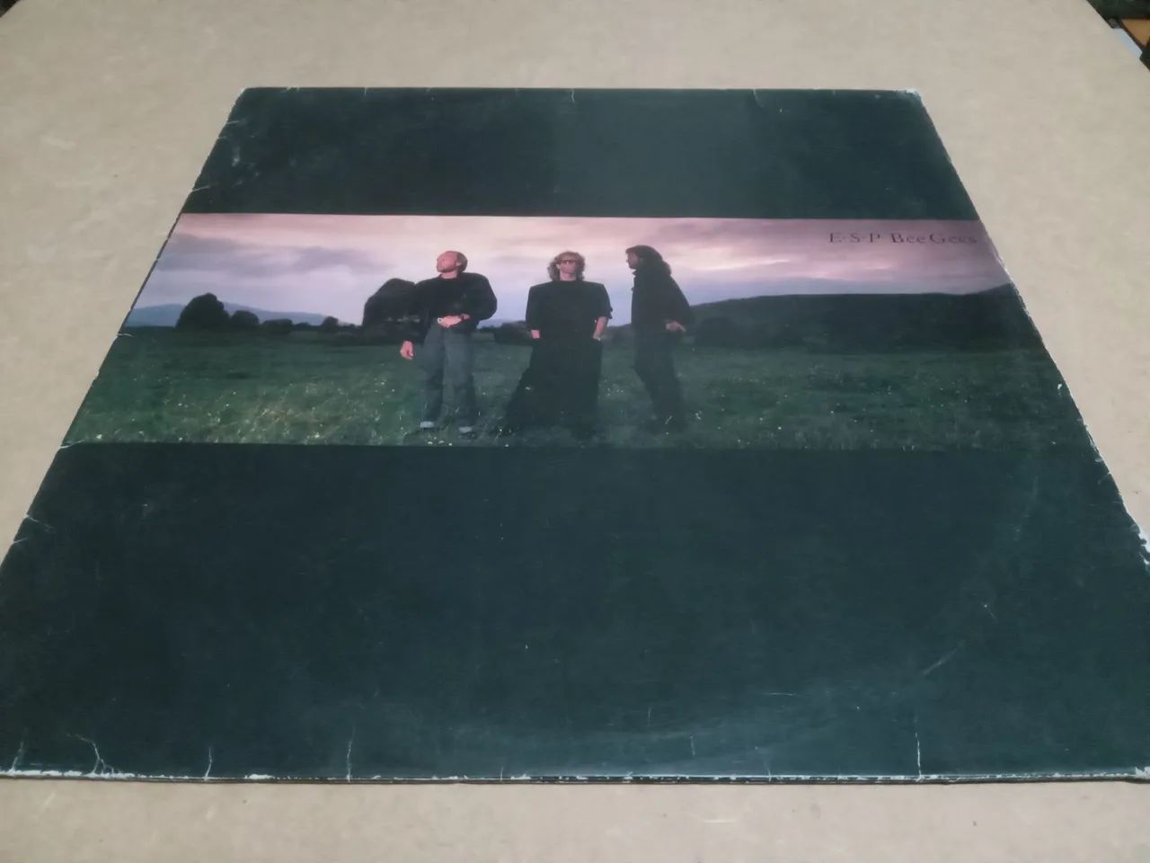 Disco de Vinil E.S.P - Bee Gees