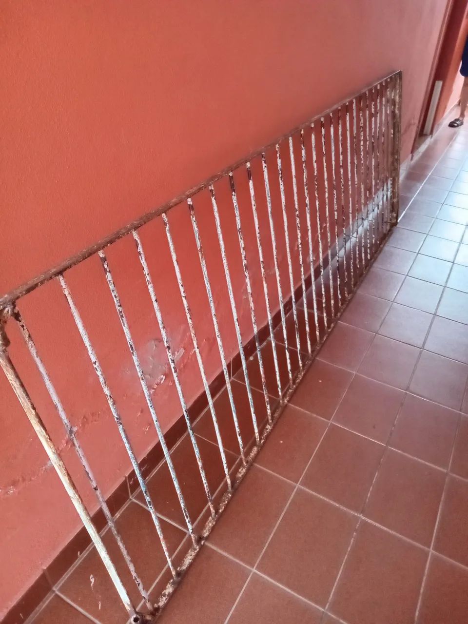 Grade de Ferro64842815517058120