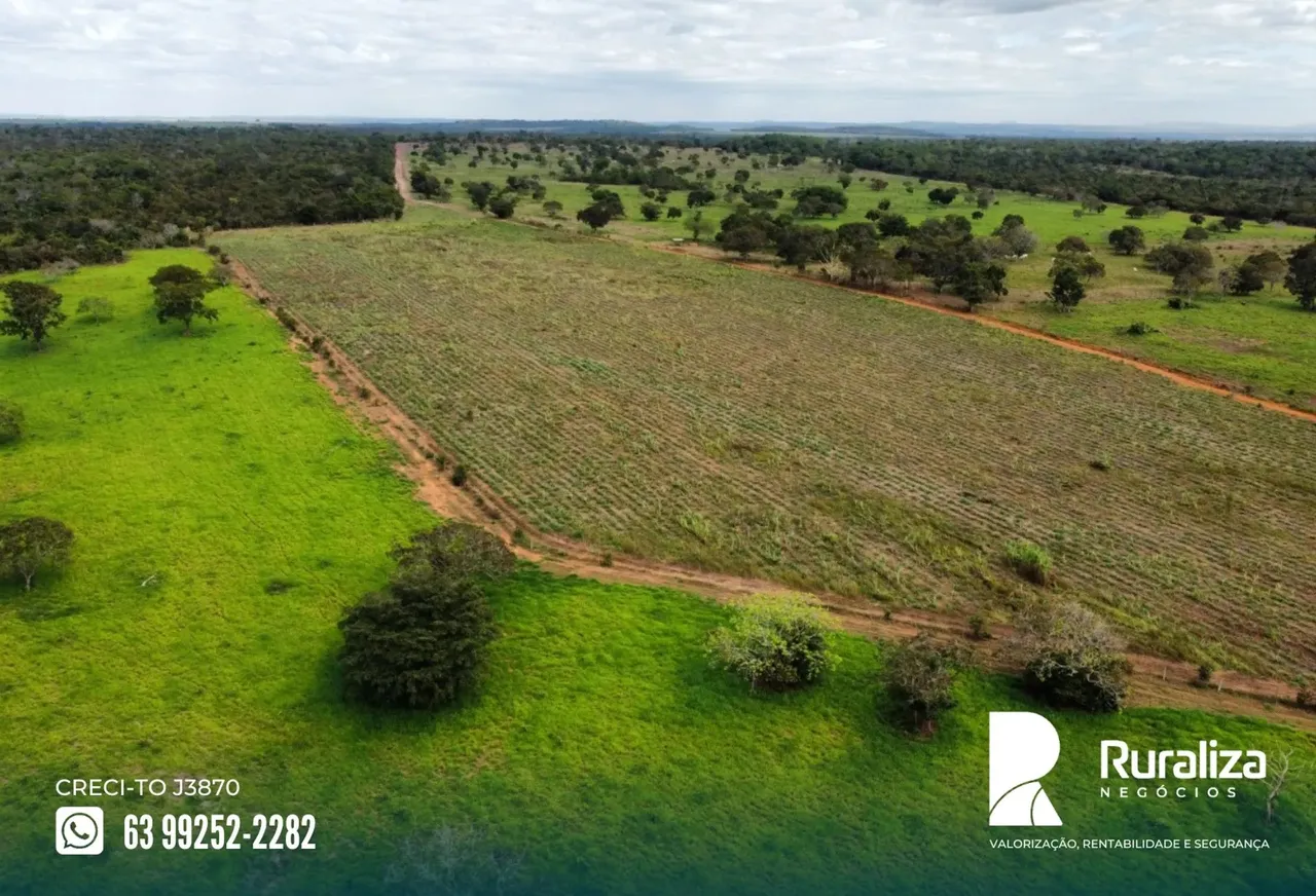 Pronta para produzir: estrutura completa para pecuária, a apenas 38 km de Palmas e 3 km do