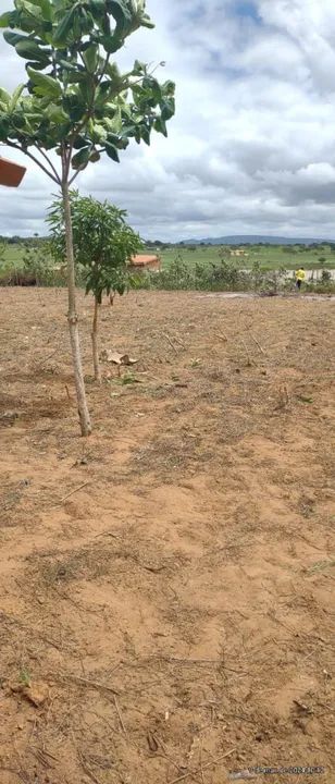 VENDE-SE TERRENO PARA CHÁCARA  - Foto 3