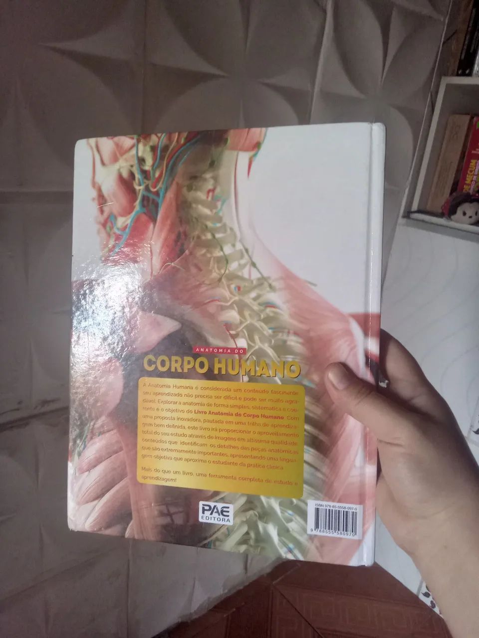 Livro anatomia do corpo humano - Foto 3