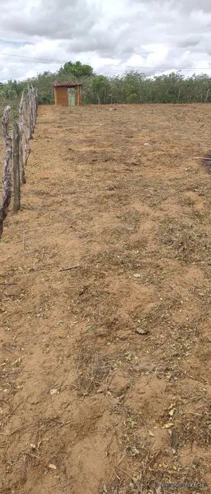 VENDE-SE TERRENO PARA CHÁCARA  - Foto 4