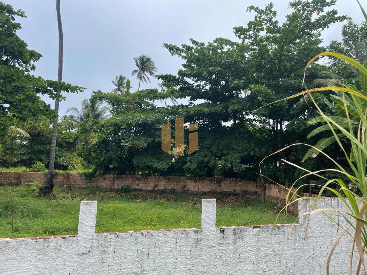 Terreno dos Sonhos à Beira-Mar em Sirinhaém, PE! - Foto 7