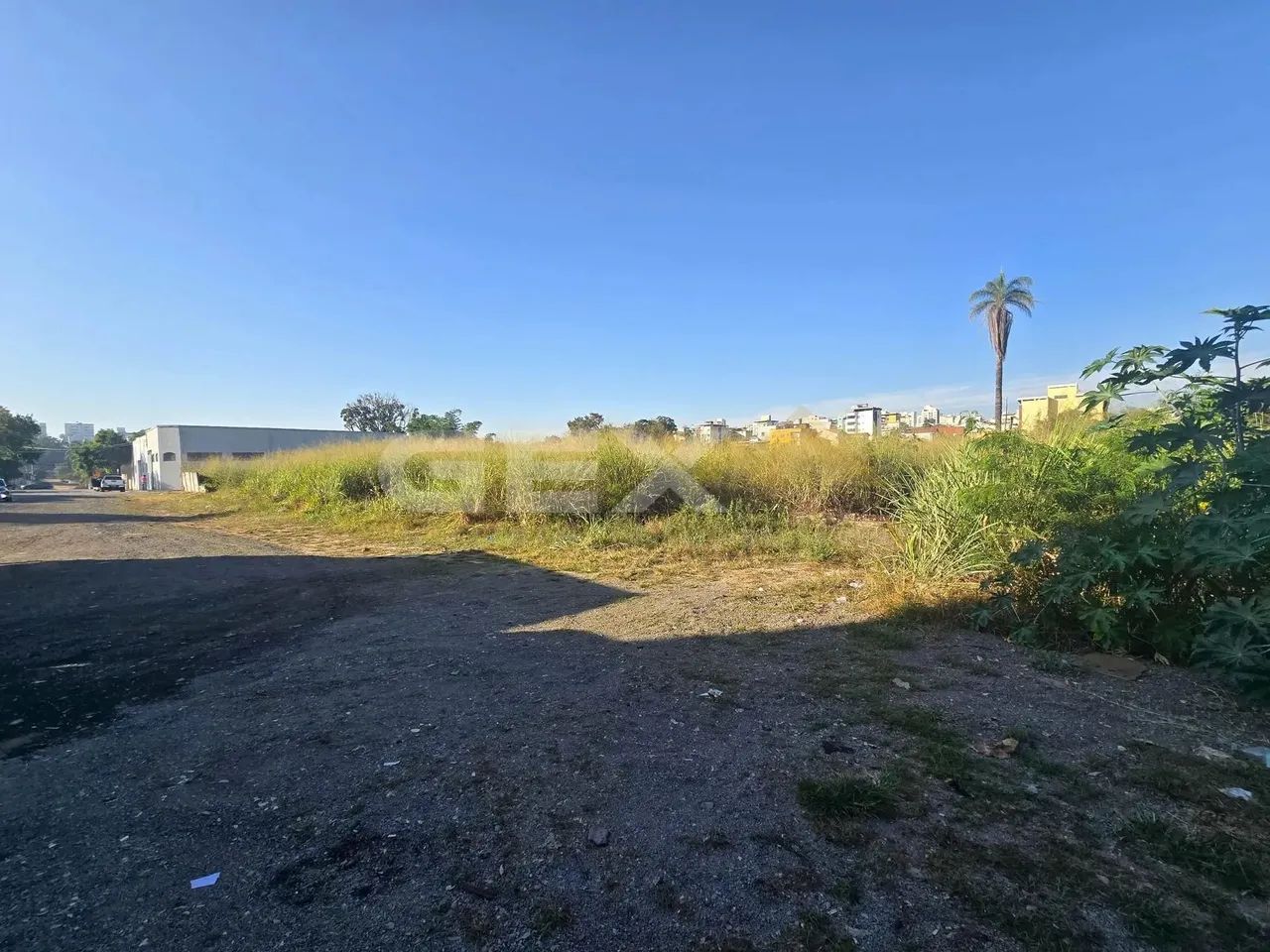 Lote à venda no bairro Ipiranga com 288 m².