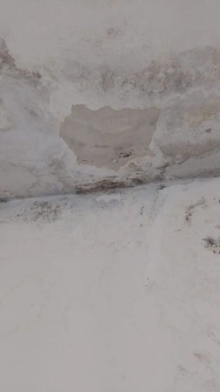 Pintor residencial e comercial disponível  - Foto 3