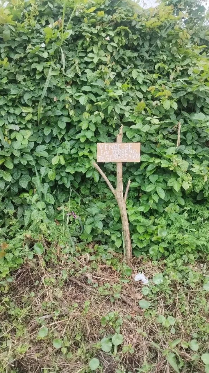 Terreno  esquina de rua