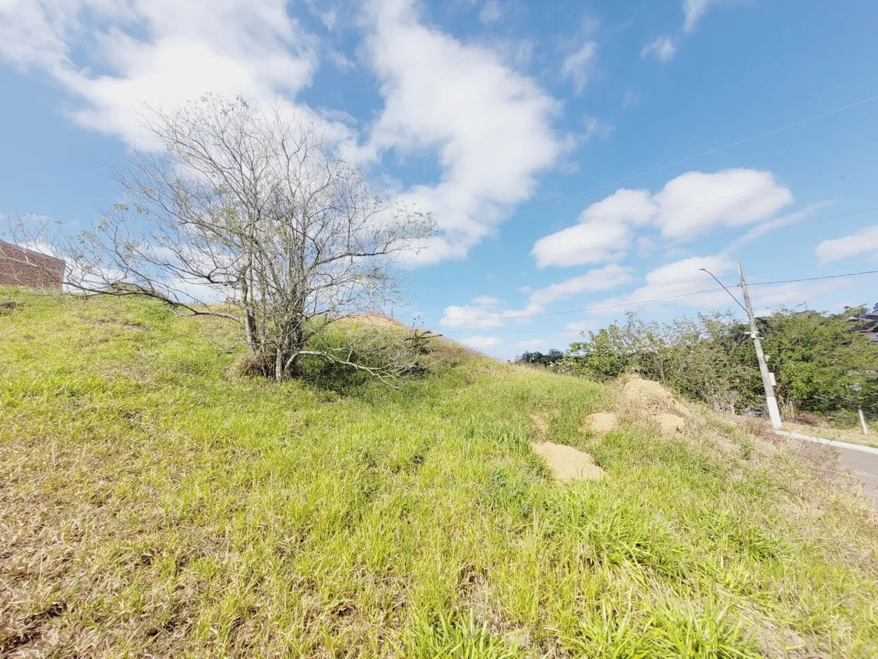 Lote / Terreno - Nova Gramado - Foto 4
