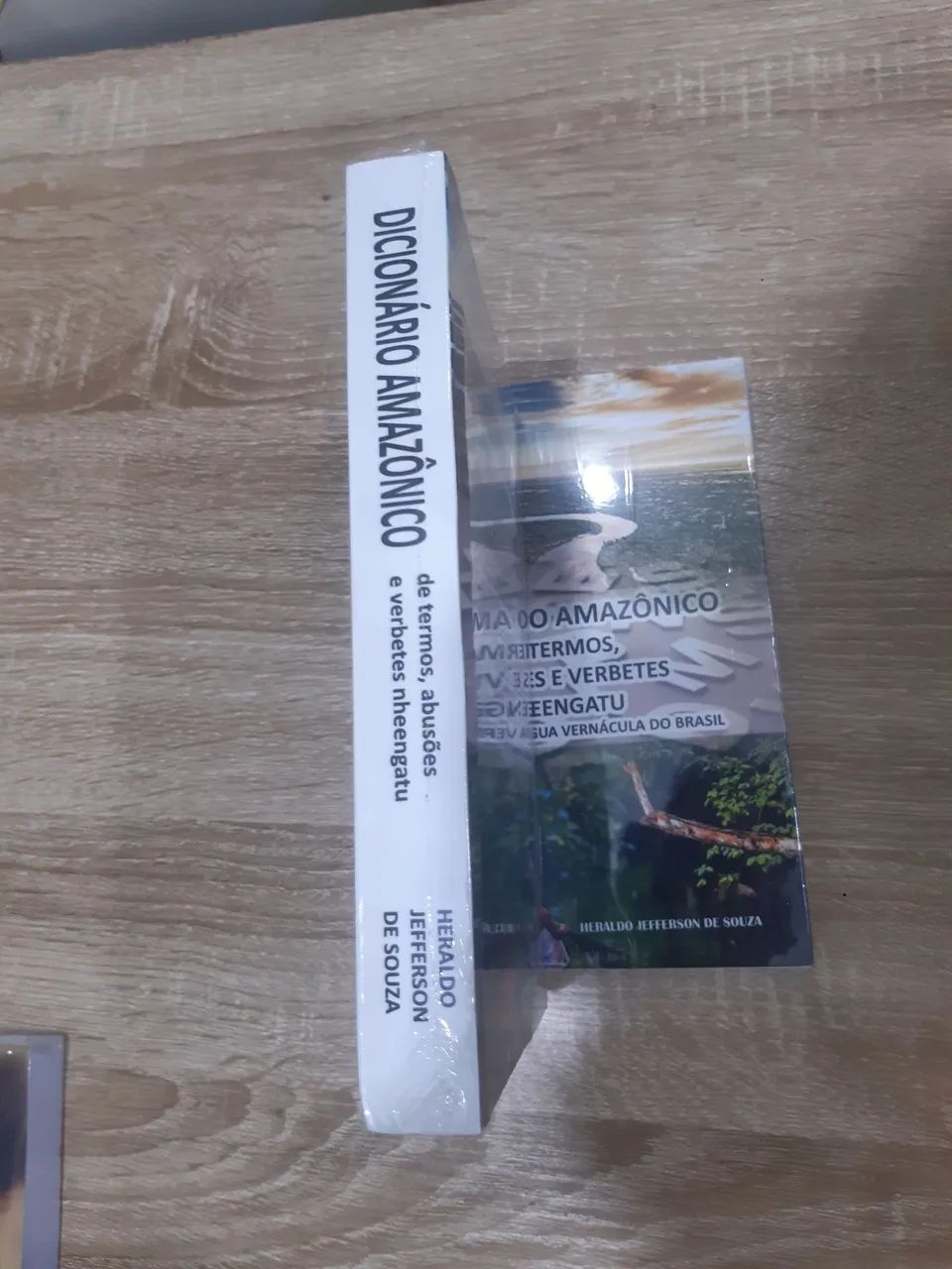 DICIONÁRIO AMAZÔNICO - Foto 3