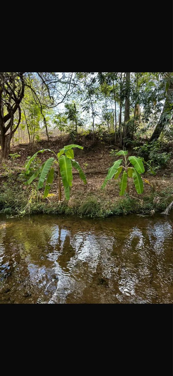 Chácara com rio tamanho 2,5 hectares  - Foto 2