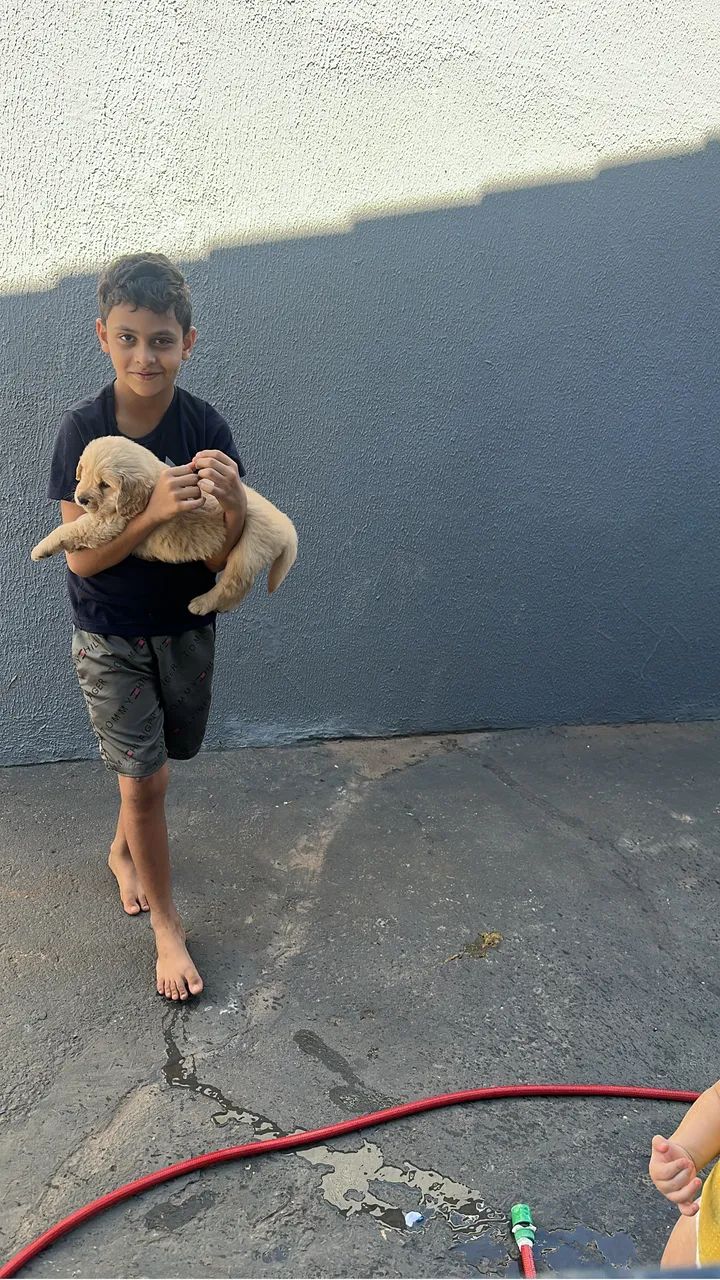 Cachorro - Foto 4