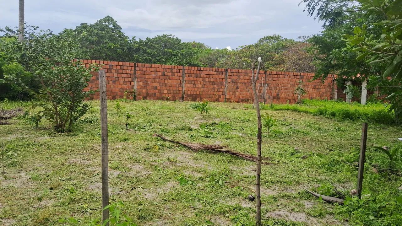 Lotes próximo lagoa do banana  - Foto 3