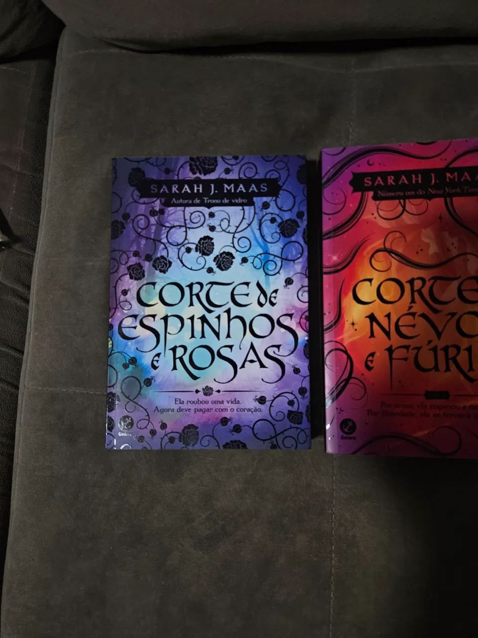 Box Cortes de Espinhos e Rosas - Foto 4